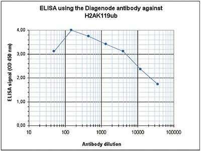 ELISA: Histone H2a [ubiquitylated Lys119] Antibody [NBP2-62793]